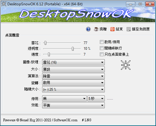 DesktopSnowOK.png